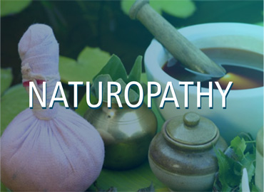 What is Naturopathy Treatment